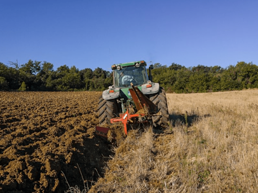 Agrónomos plantean reactivar el seguro agrícola para proteger a productores del campo