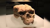 Mysterious 1-Million-Year-Old Skull From China May Belong To "Dragon Man" Lineage