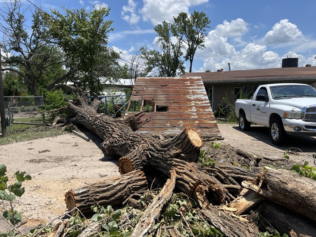 City of Houston creates storm debris collection map as Beryl debris fills streets | Houston Public Media