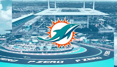 Dolphins Consider Private Equity Splash With Ares, Joe Tsai