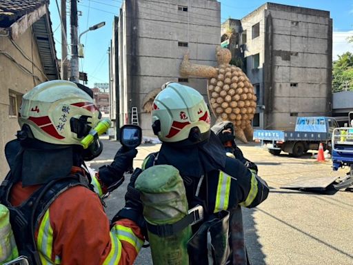 「龜吉拉」現蹤桃園地景藝術節 龜山、坪頂消防分隊守護參觀民眾安全 | 蕃新聞