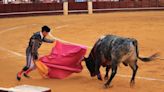 Espanha: Primeiro-ministro anula prêmio nacional de touradas, tradição no país