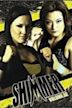 Shimmer Volume 32