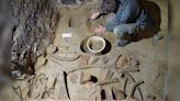 Hallaron restos de un mamut de 40.000 años de antigüedad - Diario Hoy En la noticia