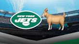 Ranking 10 greatest New York Jets of all time