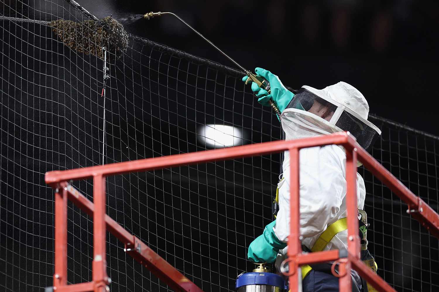 ‘Bee Guy’ Who Removed Hive from MLB Game Wins Over Crowd, Gets First Pitch: 'Pretty Hyped Up'