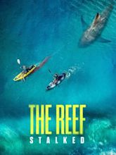 The Reef: Stalked