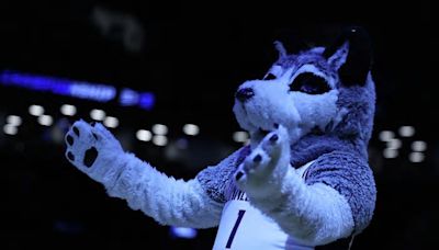 UConn’s Jonathan the Husky in late-night TV spotlight with Jimmy Fallon, Stephen Colbert