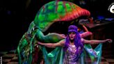 Review: LITTLE SHOP OF HORRORS at PCPA: Solvang Festival Theater