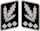 Ranks and insignia of the Waffen-SS