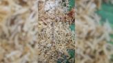 Hyderabad Man Orders Veg Biryani From Swiggy, Finds Bone In It. Company Reacts