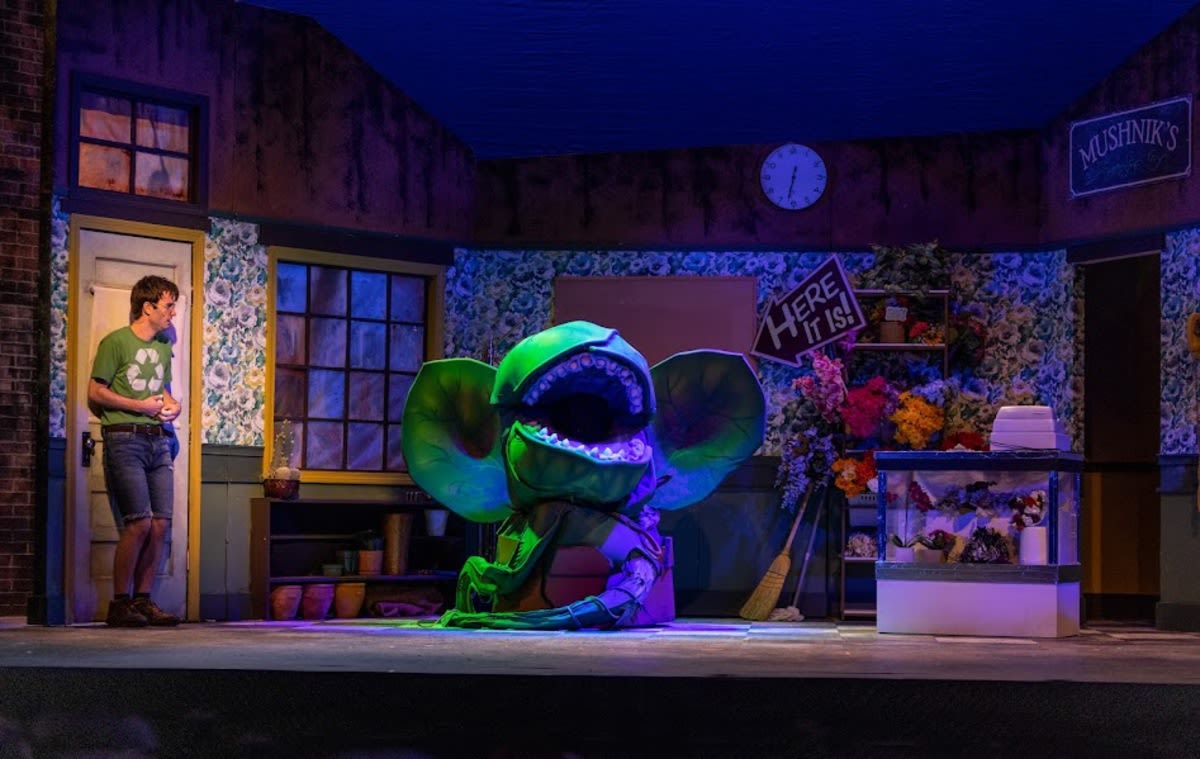 Flesh-eating plant fills Bangor Opera House with fun and joy in ‘Little Shop of Horrors’