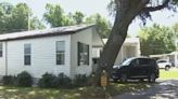 Daytona Beach woman says large oak tree is damaging her foundation, causing her home to shift