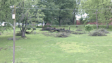 Cleanup continues in Monett following EF-1 damage