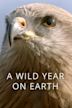 A Wild Year On Earth