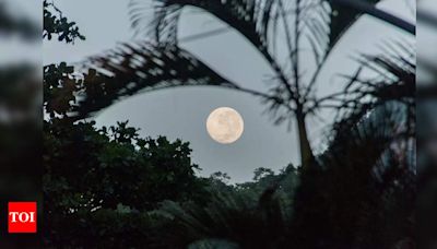 A celestial celebration: Moon Day in Kolkata | undefined Movie News - Times of India