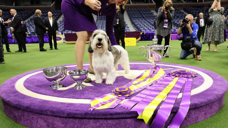 What channel is the Westminster Dog Show on? TV schedule, live stream, times for 2024 competition | Sporting News Canada