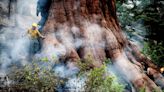 Scramble to protect giant sequoia trees as swift fire grows at Yosemite National Park