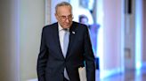 'A moment of revolution': Schumer unveils strategy to regulate AI amid dire warnings