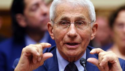 Anthony Fauci Defends Federal Covid Response