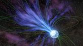 Neutron stars could be capturing primordial black holes