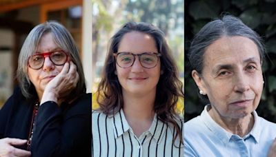 Cuestión de Gustos: llega libro donde escritoras chilenas descifran el arte y la política actual - La Tercera