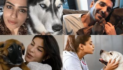 Pet Parents Raveena Tandon, John Abraham, Priyamani, Others Share Wisdom On aA 'Pawrfect' Summer