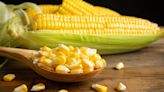 Quiénes no pueden comer maíz