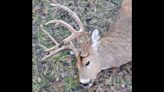 With days slipping by on deer season, father and son hit the December Double