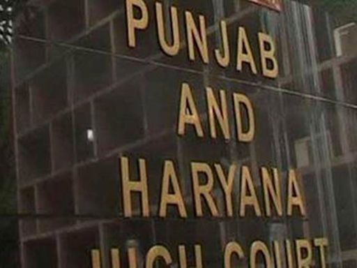 HC attaches 52 bank accounts of Mohali builder, directs SSP to interrogate him