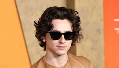 Why Timothée Chalamet Didn’t Walk With Kylie Jenner at the 2024 Met Gala