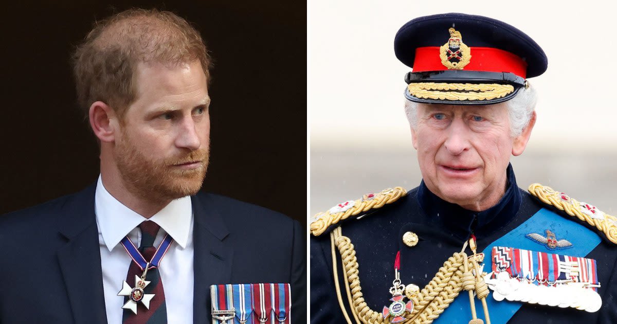 Prince Harry Is 'Worried' He'll Never See King Charles Again