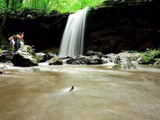 6 drowning deaths at waterfalls since ’22, 99 lifesavers deployed: Govt | Goa News - Times of India