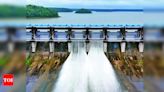 Bhopal Kolar Dam Gates Opened Upper Lake Water Levels Rising | Bhopal News - Times of India