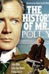 The History of Mr. Polly (film)