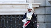 A TikTok shows a woman getting yelled at by one of King Charles' guards because she kept touching his horse