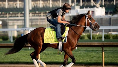 Will Mystik Dan Run in the 2024 Preakness Stakes?