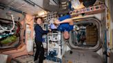 Mutated Strains of Unknown Drug-Resistant Bacteria Found Lurking on ISS