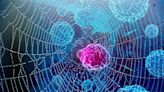 Obesity and Cancer: Untangling a Complex Web