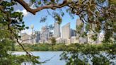 Sydney's tree wars: Greed and harbour views fuel vandalism