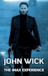 John Wick (film)