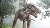 A Completely New Dinosaur Species With "Ridiculously" Short Arms Discovered