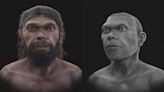 Homo sapiens mais antigo já descoberto recebe reconstrução facial em 3D