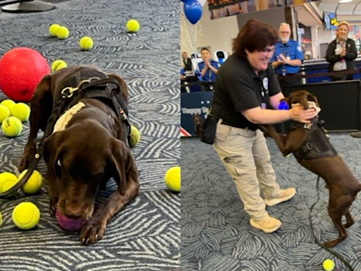 Milwaukee Mitchell International Airport’s TSA Canine Rex showered with tennis balls for retirement