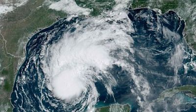 Hurricane Beryl: UAE Embassy in Houston urges citizens to exercise caution