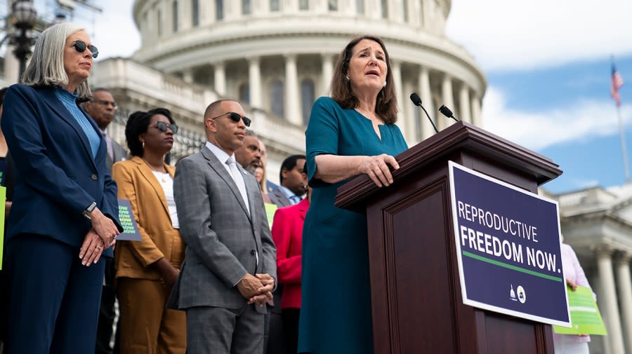 Democrats vow to make abortion protections top priority if given majority