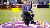 Little dog wins big at the Westminster Dog Show