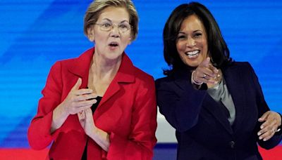 Elizabeth Warren Has 1 Question For Kamala Harris Skeptics