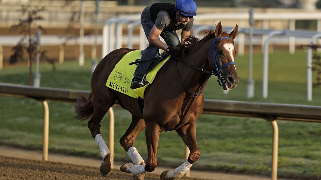 Preakness gets 3 horses confirmed, but Mystik Dan uncertain