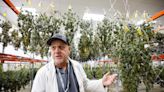 As recreational sales begin, Humansville's Flora Farms ships a record amount of marijuana